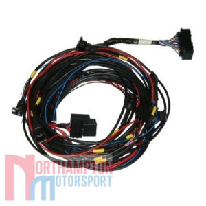 Omex 600 Road Spec Wiring Loom