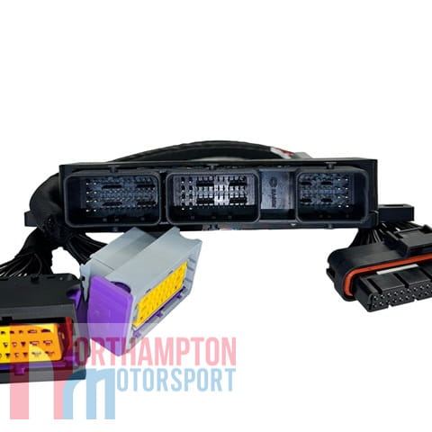 Clio RS 200 Standalone ECU Kit